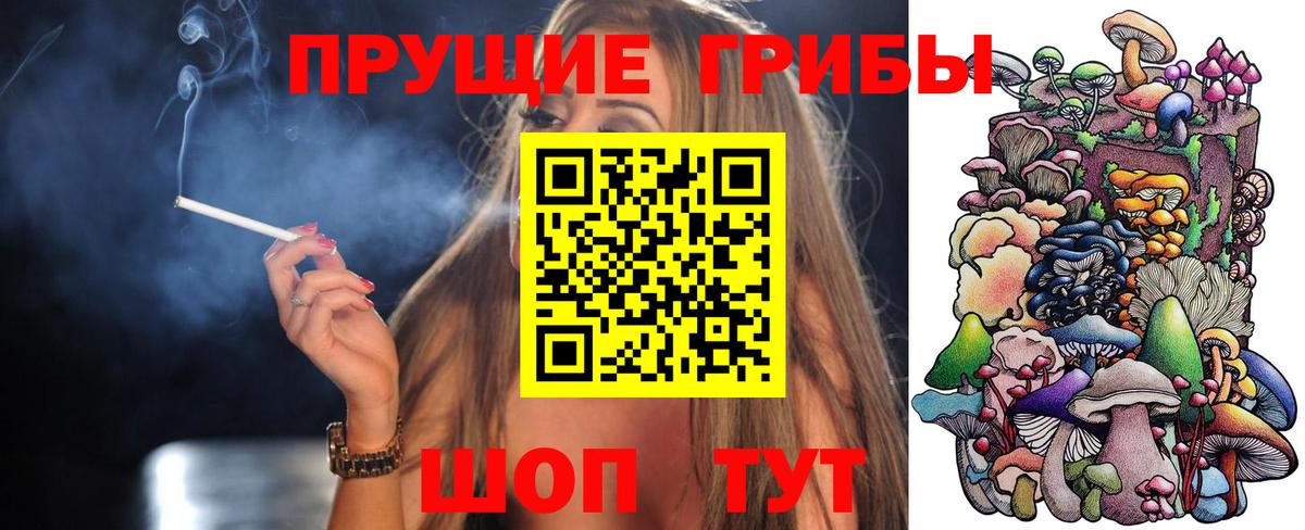 Галлюциногенные грибы GOLDEN TEACHER  Вход с VPN  где продают наркотики  Кандалакша 