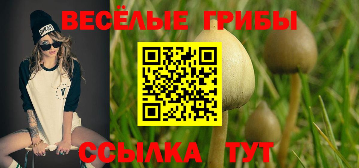 Псилоцибиновые грибы прущие грибы Кандалакша